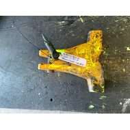 Casting Boom Lock
