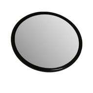 Panoramic Mirror