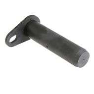 Piviot PIN