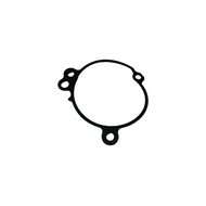 Gasket Water Pump