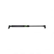 Door GAS Strut