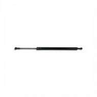 GAS Strut