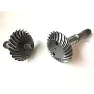 Bevel Gear
