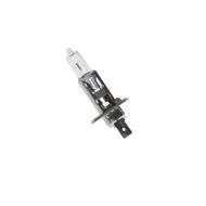 Bulb 12V/55W