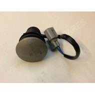 Foot Switch Side Exit 12v (T4F)