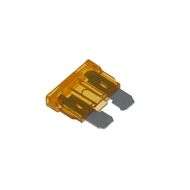 5 AMP Fuse