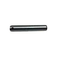 Pivot PIN
