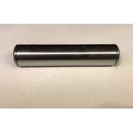 Pivot PIN
