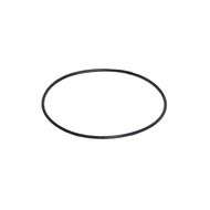 O Ring Seal
