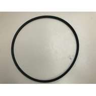 'belt