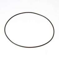 O Ring Seal