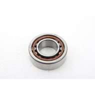 Bearing - CYL Roller