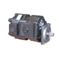 Hydraulic Pump