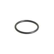 'o' Ring