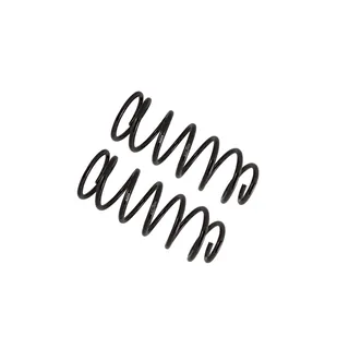 Bilstein 36-281824 B12 Special Coil Spring Set