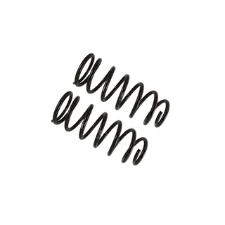 Bilstein 36-281831 B12 Special Coil Spring Set